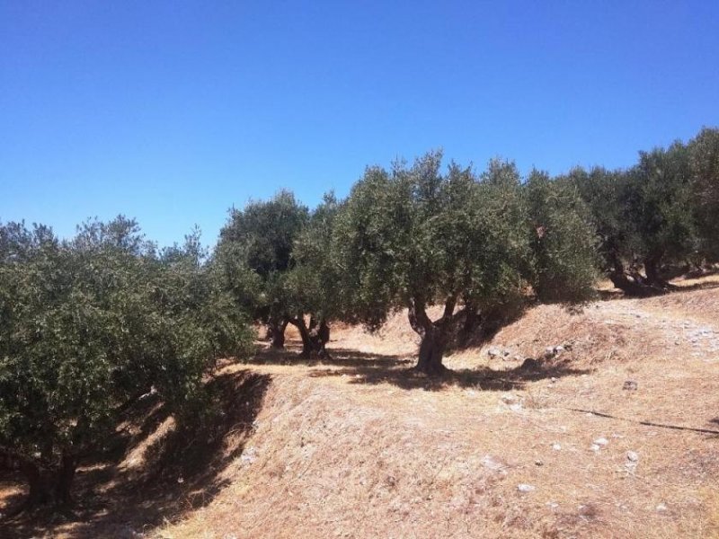 Plaka Chania Panoramablick auf das Meer von Plaka Grundstück kaufen